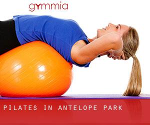 Pilates in Antelope Park