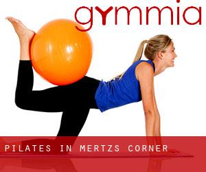 Pilates in Mertz's Corner
