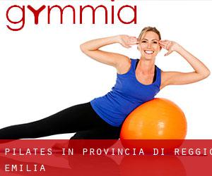 Pilates in Provincia di Reggio Emilia