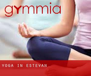 Yoga in Estevan