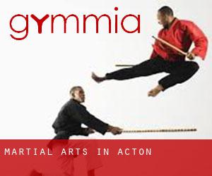 Martial Arts in Acton