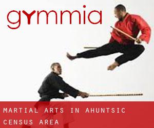 Martial Arts in Ahuntsic (census area)