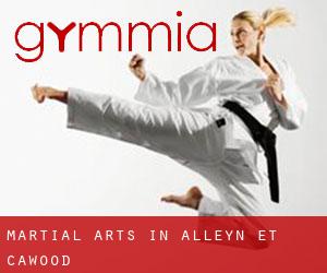 Martial Arts in Alleyn-et-Cawood