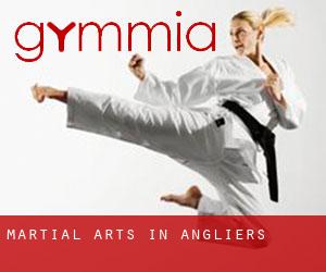Martial Arts in Angliers