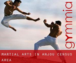 Martial Arts in Anjou (census area)