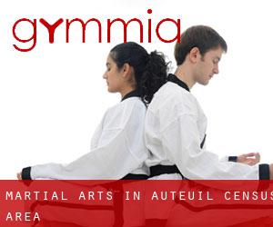 Martial Arts in Auteuil (census area)