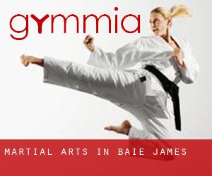 Martial Arts in Baie-James