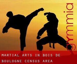 Martial Arts in Bois-de-Boulogne (census area)