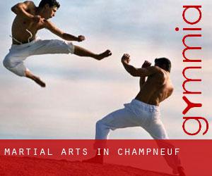 Martial Arts in Champneuf