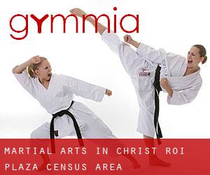 Martial Arts in Christ-Roi-Plaza (census area)