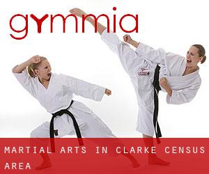 Martial Arts in Clarke (census area)