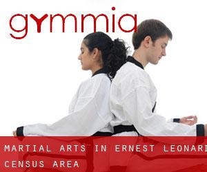 Martial Arts in Ernest-Léonard (census area)