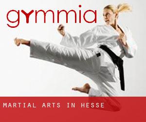 Martial Arts in Hesse