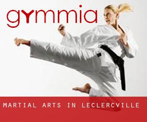 Martial Arts in Leclercville