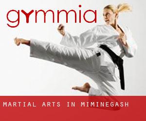 Martial Arts in Miminegash