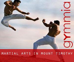 Martial Arts in Mount Timothy