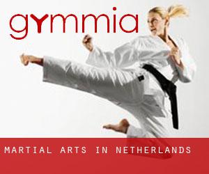 Martial Arts in Netherlands