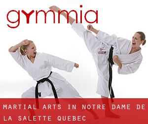 Martial Arts in Notre-Dame-de-la-Salette (Quebec)