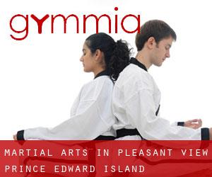 Martial Arts in Pleasant View (Prince Edward Island)
