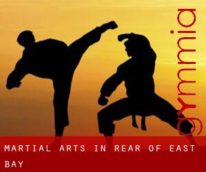 Martial Arts in Rear of East Bay