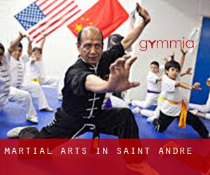 Martial Arts in Saint-André