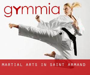 Martial Arts in Saint-Armand