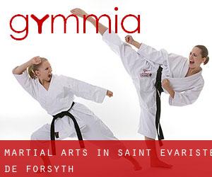 Martial Arts in Saint-Évariste-de-Forsyth