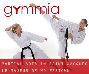 Martial Arts in Saint-Jacques-le-Majeur-de-Wolfestown