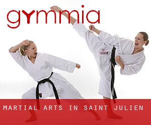 Martial Arts in Saint-Julien