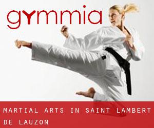 Martial Arts in Saint-Lambert-de-Lauzon