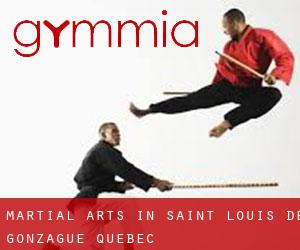 Martial Arts in Saint-Louis-de-Gonzague (Quebec)