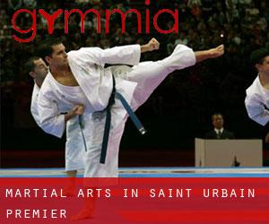 Martial Arts in Saint-Urbain-Premier