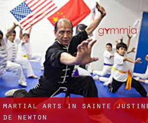 Martial Arts in Sainte-Justine-de-Newton