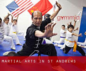 Martial Arts in St. Andrews
