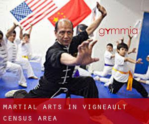 Martial Arts in Vigneault (census area)