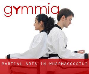 Martial Arts in Whapmagoostui