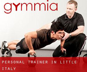 Personal Trainer in Little Italy