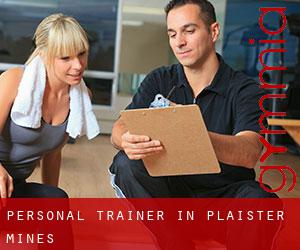 Personal Trainer in Plaister Mines