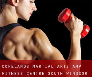 Copeland's Martial Arts & Fitness Centre (South Windsor)