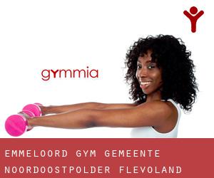 Emmeloord gym (Gemeente Noordoostpolder, Flevoland)