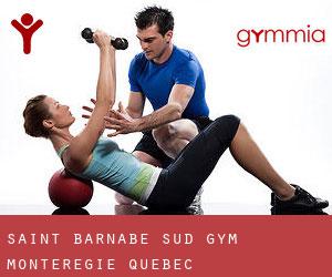 Saint-Barnabé-Sud gym (Montérégie, Quebec)