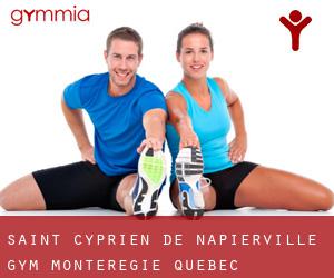 Saint-Cyprien-de-Napierville gym (Montérégie, Quebec)