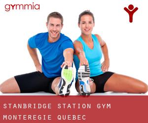 Stanbridge Station gym (Montérégie, Quebec)