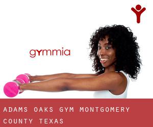 Adams Oaks gym (Montgomery County, Texas)