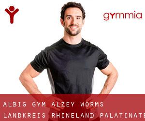 Albig gym (Alzey-Worms Landkreis, Rhineland-Palatinate)
