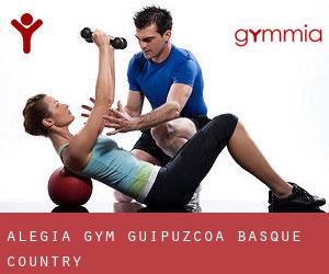Alegia gym (Guipuzcoa, Basque Country)