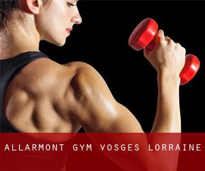 Allarmont gym (Vosges, Lorraine)