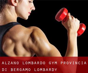 Alzano Lombardo gym (Provincia di Bergamo, Lombardy)