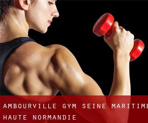 Ambourville gym (Seine-Maritime, Haute-Normandie)