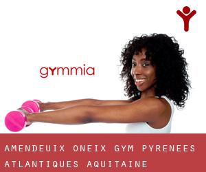 Amendeuix-Oneix gym (Pyrénées-Atlantiques, Aquitaine)